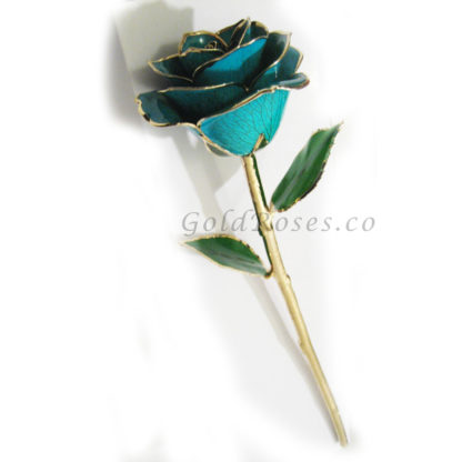 Aqua Gold Rose