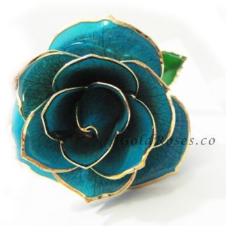 Aqua Gold Rose Front