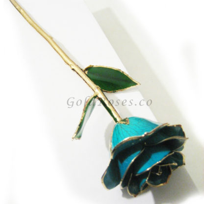 Aqua Gold Rose Left Side