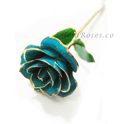 Aqua Gold Rose Right Side