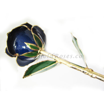 Blue Gold Rose Bottom