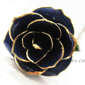 Blue Gold Rose Front