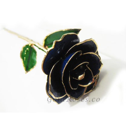 Blue Gold Rose Left Side