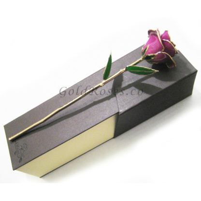 Violet Gold Rose Right Side with Box